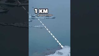 Insane Gaming World Record π€